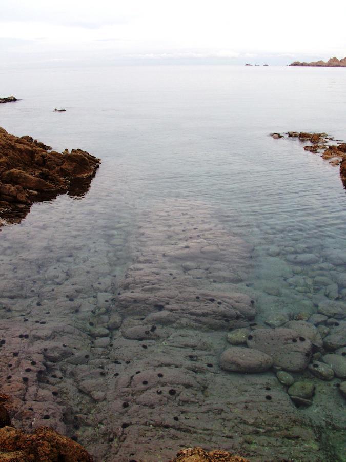 Hotel Smeraldo Canneddi Zewnętrze zdjęcie